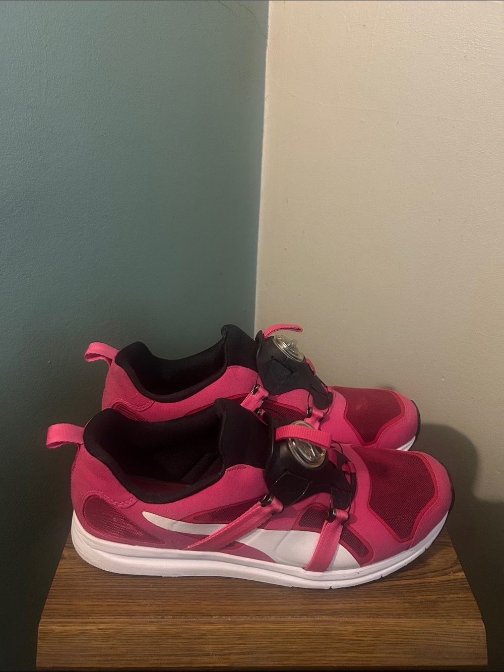 Puma Disc System - Picture 2 of 5